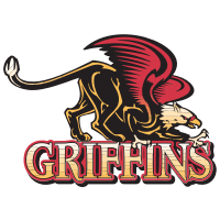 Gwynedd Mercy