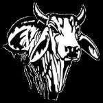 Hallettsville
