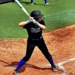 2028 Stock Risers From The Southeast