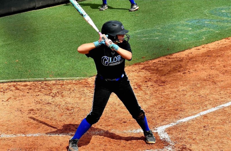 2028 Stock Risers From The Southeast