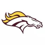 Madison Academy