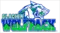 Glacier