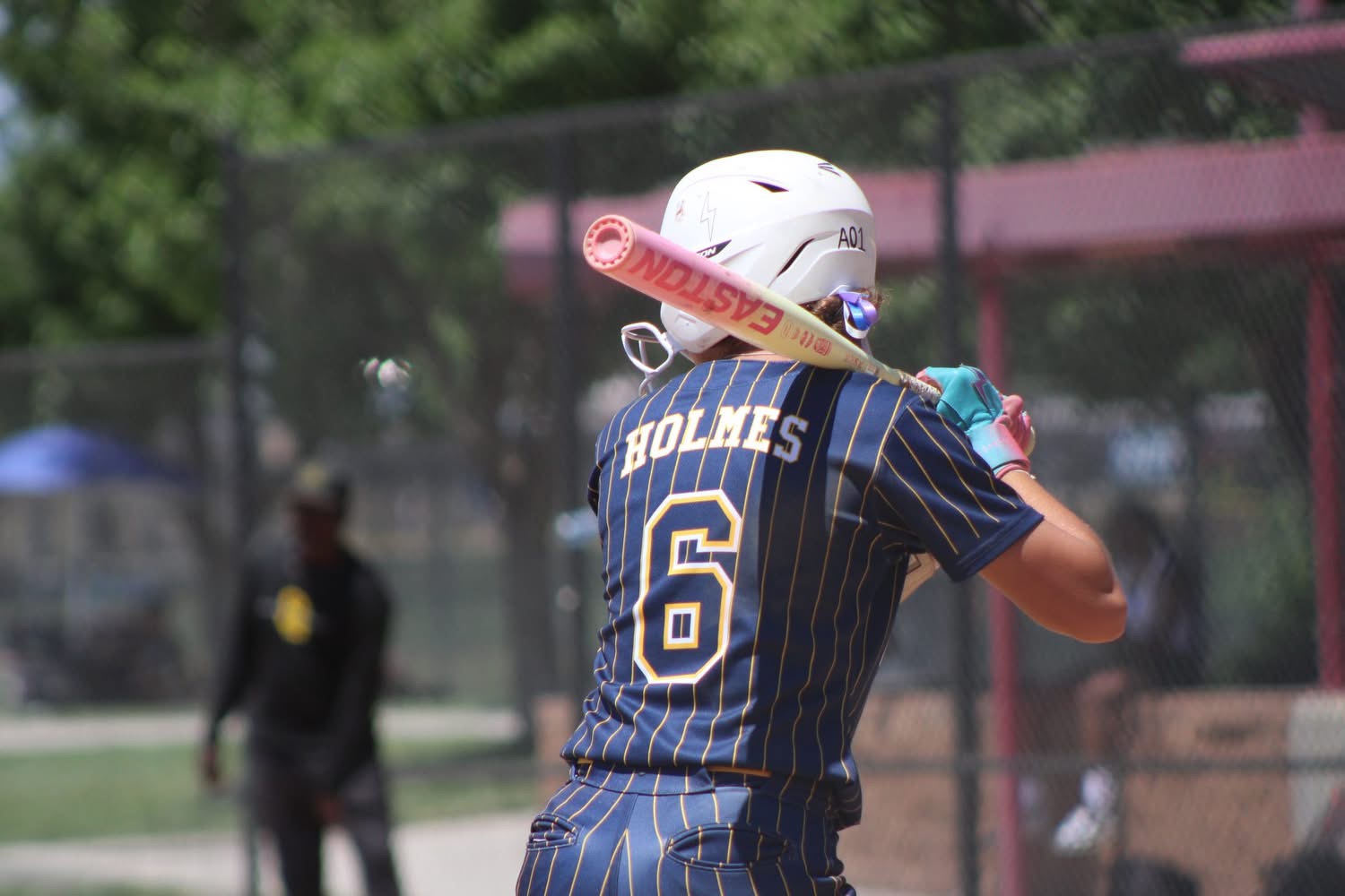 Analiese Holmes