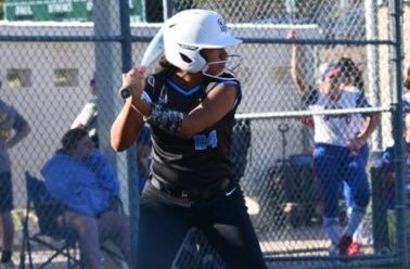 Taylor Herrera-Villarrea