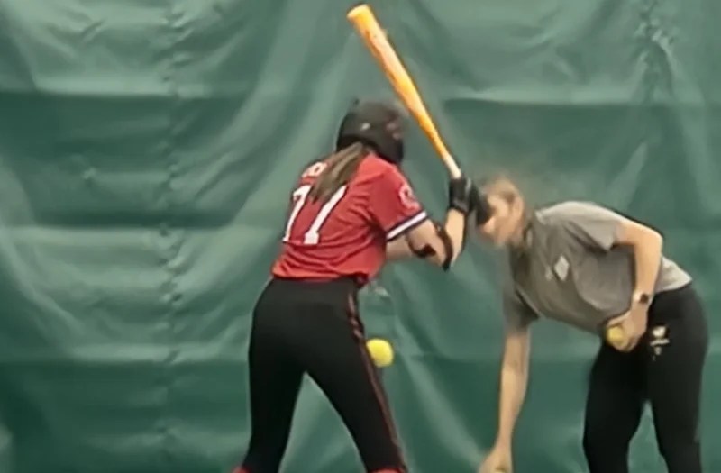 Elizabeth (libby) Perczak