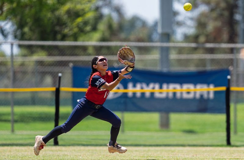 2030s Who Made A Name For Themselves This Summer